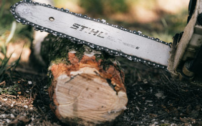 Professional Review of the Stihl 500i Chainsaw