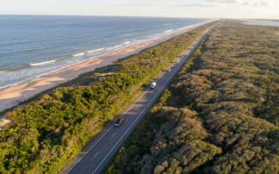 Precision Tree Care and Removal Selected by FDOT for Emergency Interstate Clean-Up